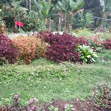 Villa God'S Gift Devikolam Exterior foto